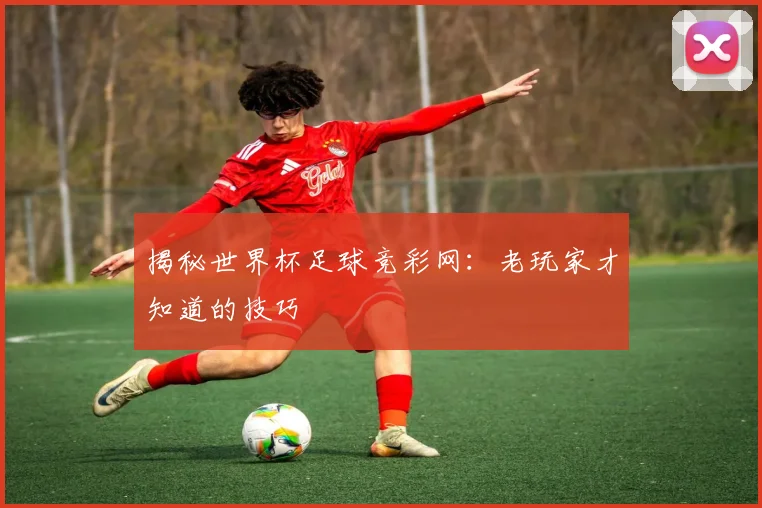 揭秘世界杯足球竞彩网：老玩家才知道的技巧