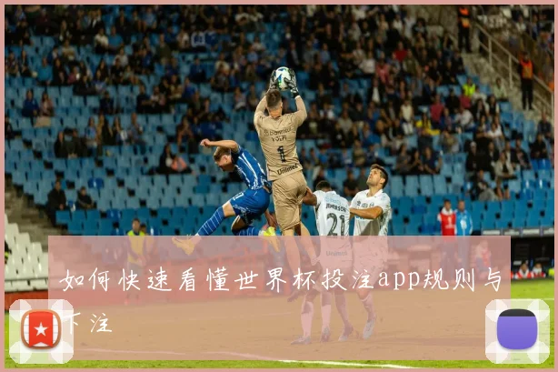 如何快速看懂世界杯投注app规则与下注